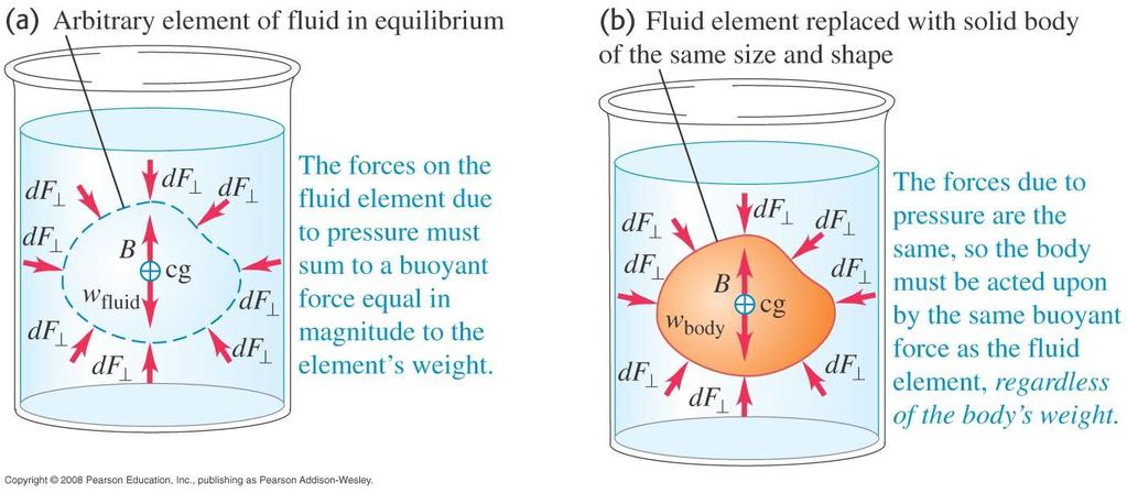 Archimedes Principle Archimedes Principle: When a body is completely or partially immersed in a fluid, the fluid exerts an