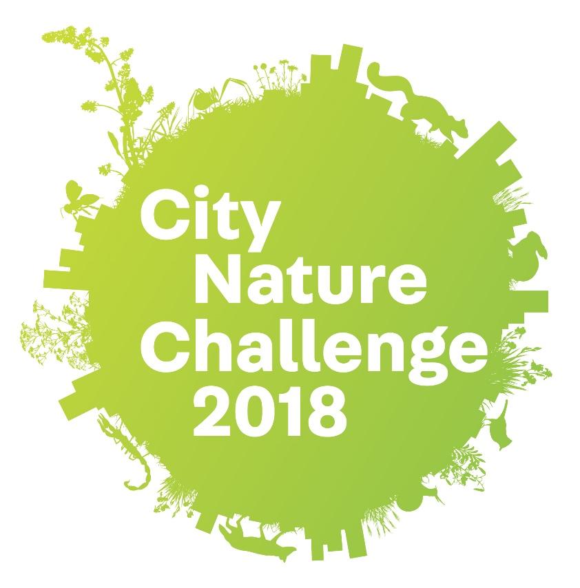 WHAT IS CITY NATURE CHALLENGE?