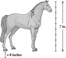 31 The graph below compares the weight of an object on Earth to its weight on the Moon. 32 A scale drawing of a horse is shown below. What is the actual height of the horse, in inches (in.