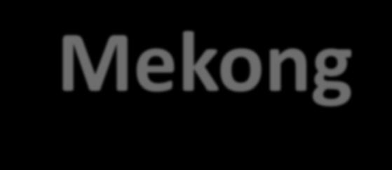 Mekong Development of a