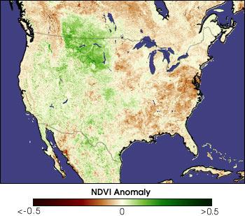 Damaged or limited vegetation (shrub or grassland) might show only 40% reflectance NIR and 30% VIS reflectance. NDVI = 0.4 0.3/ 0.4 + 0.3 = 0.