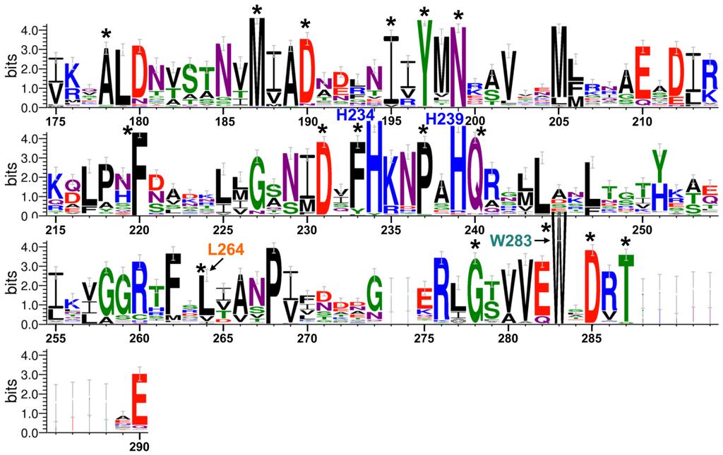 Figure S2. WebLogo sequence alignment of 100 Aer2 PAS domain-like sequences. Sequence homologs were acquired by performing an NCBI protein BLAST search (http://blast.ncbi.nlm.nih.gov/blast.cgi?
