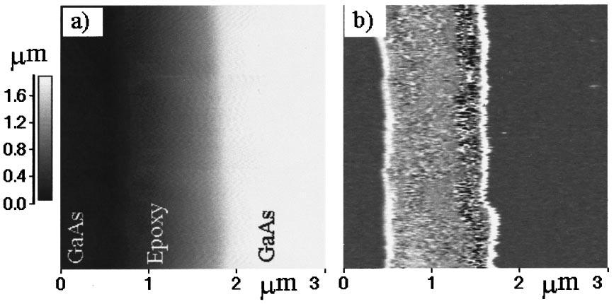 Rev. Sci. Instrum., Vol. 70, No. 3, March 1999 Hong, Park, and Khim 1737 FIG. 2. Topography a and force modulation b image of a sample surface. Two hard GaAs regions are separated by a soft epoxy.