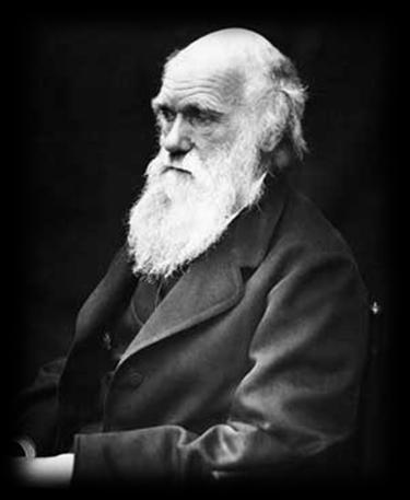 8. Charles Darwin: a theologian that traveled the world on the HMS Beagle studying evolution, particularly the finches of the Galapagos Islands.