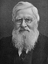 Alfred Russell Wallace Sailed to South America and formulated the