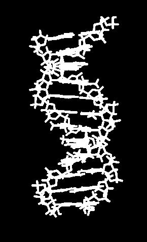 Characteristics of DNA 1.
