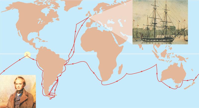 Charles Darwin (1809-1882) served as Ship s Naturalist on the HMS Beagle s circumnavigation of the globe (1831-1836) PACIFIC OCEAN NORTH AMERICA ATLANTIC OCEAN England