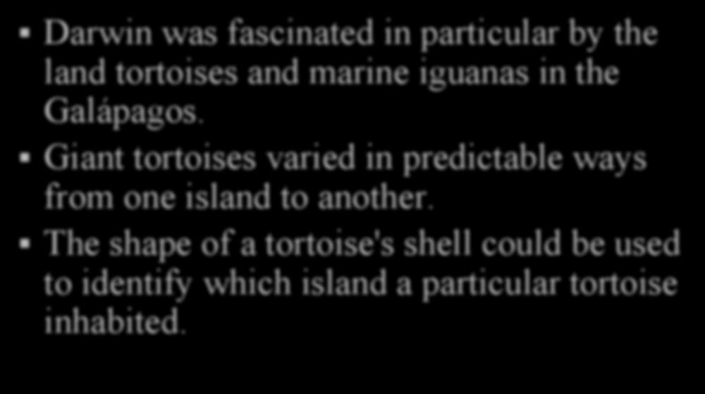 The Galapagos Island Darwin was fascinated in particular by the land tortoises and marine iguanas in the Galápagos.