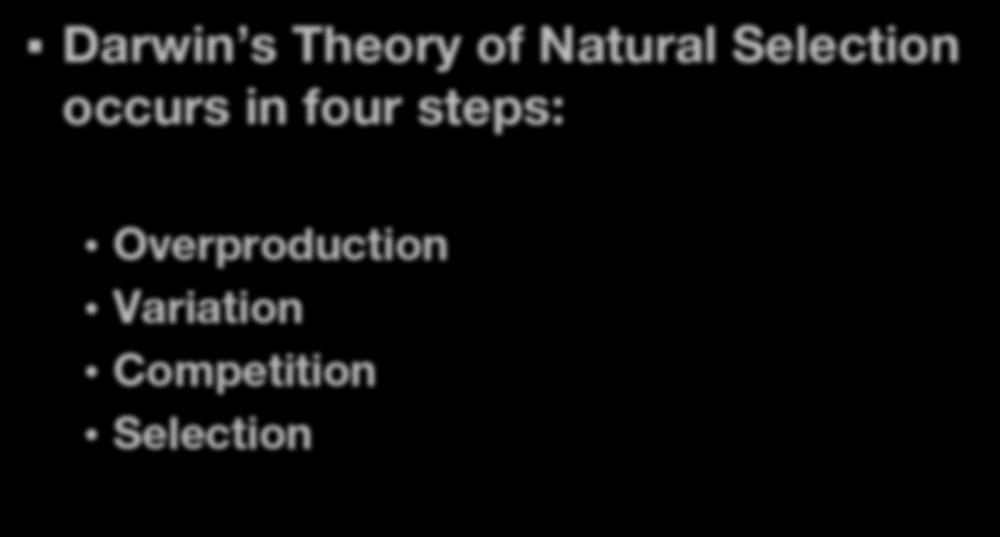 Darwin s Theory of Natural Selection occurs in four