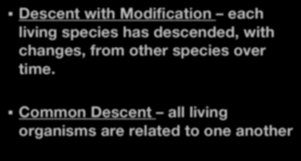 Descent with Modification Descent with Modification each living species has descended, with