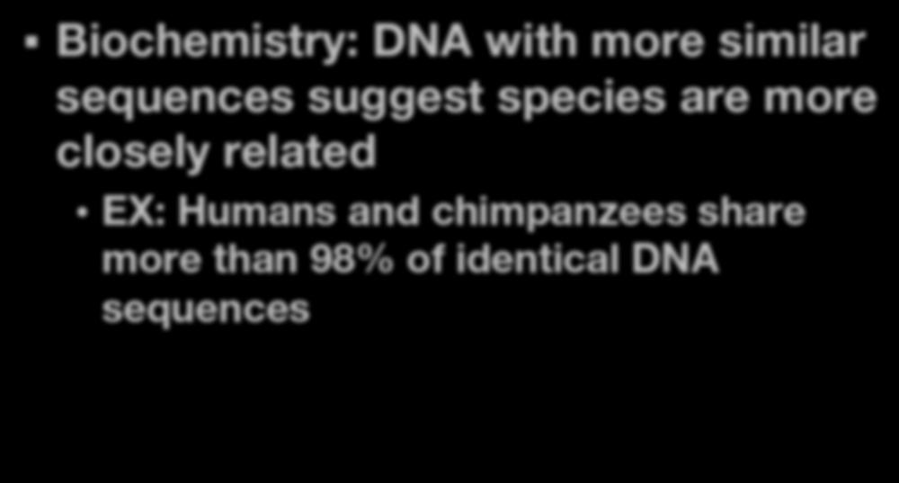 Biochemical Evidence Biochemistry: DNA with