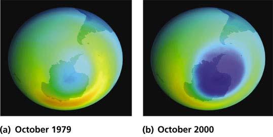 Ozone Depletion Loss