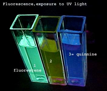 (1) Fluorescein is yellow (because it absorbs in the blue) (2) Rhodamine is pink (because it absorbs green light) (3) Quinine is colorless