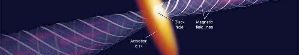 The micro-quasars in our Galaxy: nearby,