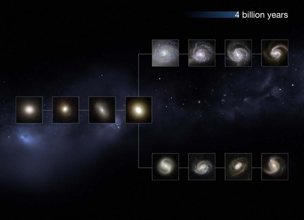 The illustrative galaxies selected by appearance