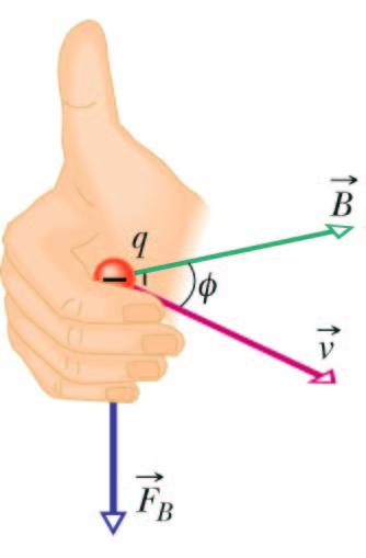 Use right hand rule to find the direction of F F m = qv B Negative Charge + Rotate v into B through
