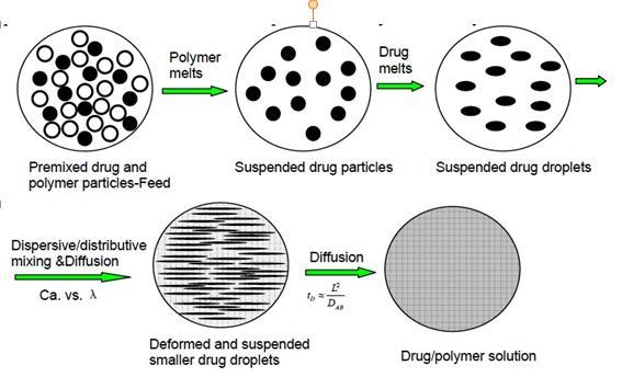 Figure 1.3 Schematic representation of the morphological changes of the drug and polymer system in the solution formation process for Case II. Source: C.G. Gogos, H. Liu, P.