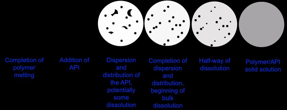 Figure 3.2 Cartoon representation of the dispersion, distribution and dissolution of APAP in molten Soluplus.