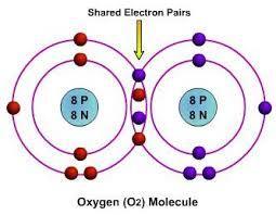 Types of Chemical Bonding Covalent