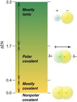 Electronegativity the ability of an atom in a covalent bond to attract the shared electron pair Depicting Polar Bonds EN ranges for classifying the partial ionic