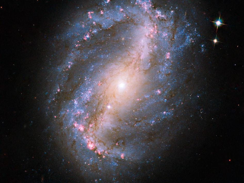 NGC 6217 Make a triangle with Zeta UMi and Eta UMi to find this nearly face-on ringed spiral galaxy 80