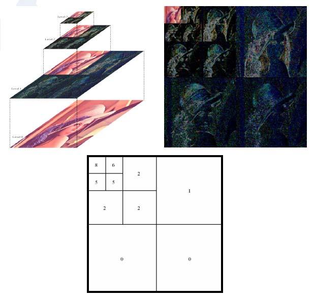 Wavelet transform of images Wavelets work for decomposing signals (such as images) into hierarchy of