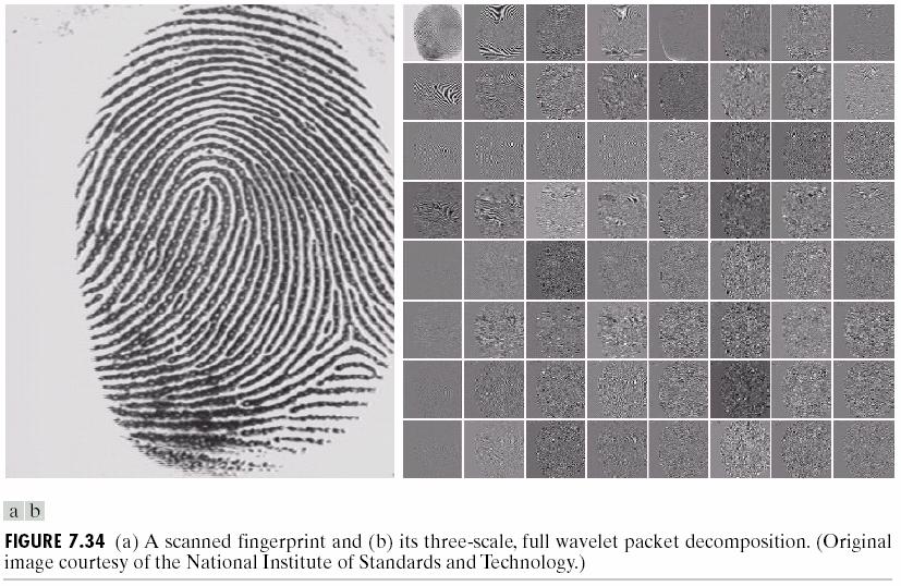 Wavelet Packet Decomposition (Images from Rafael C.