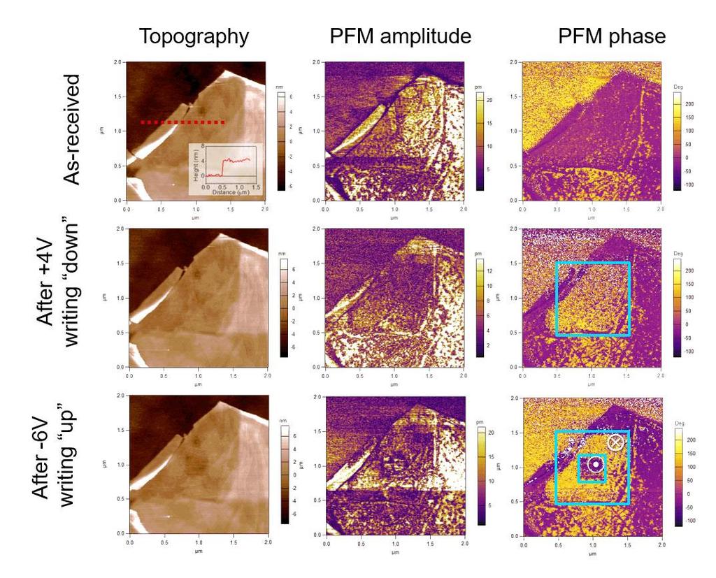 Supplementary Figure 8 PFM measurement and polarization switching of CIPS with a thickness of 4 nm.