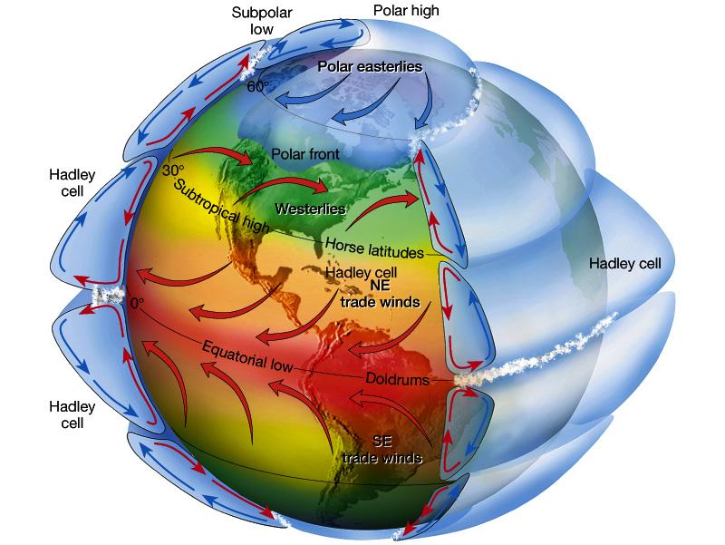Idealized Single-Cell Convection Model for a Planet Features of the circulation