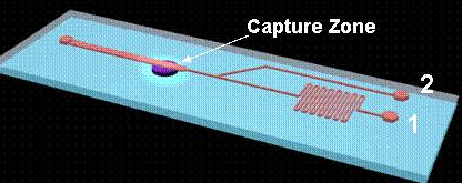 Microfluidics Current technology of great interest.