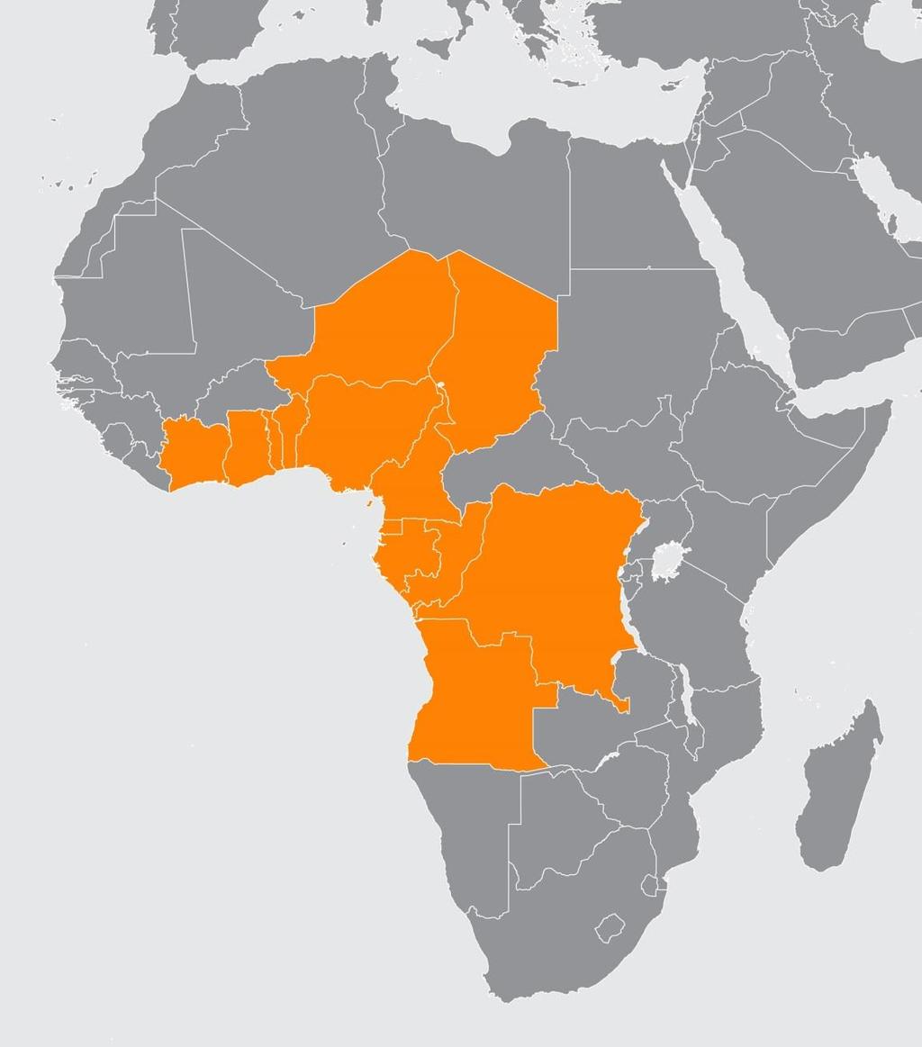 Basins and Zones The Intracratonic Zone Niger Chad Gabon Congo DR Congo Angola Nigeria Cameroon The Gulf of Guinea