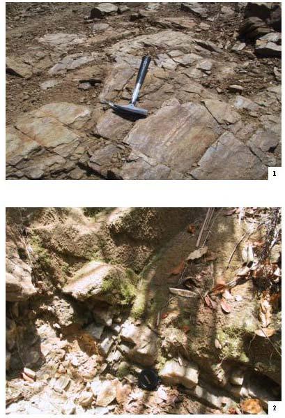 groups of tectonic fractures developed in the outcrop basement rocks, some of which had been infilled with quartz veins (Plate 1 & 2).