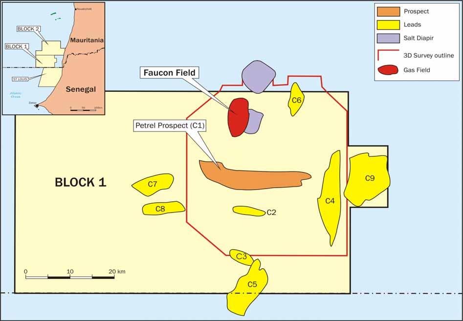 Mauritania Block 1 Prospects and Leads Current Activity Assessing Volumes in Faucon Evaluating Petrel, C2 and C5 prospects Main