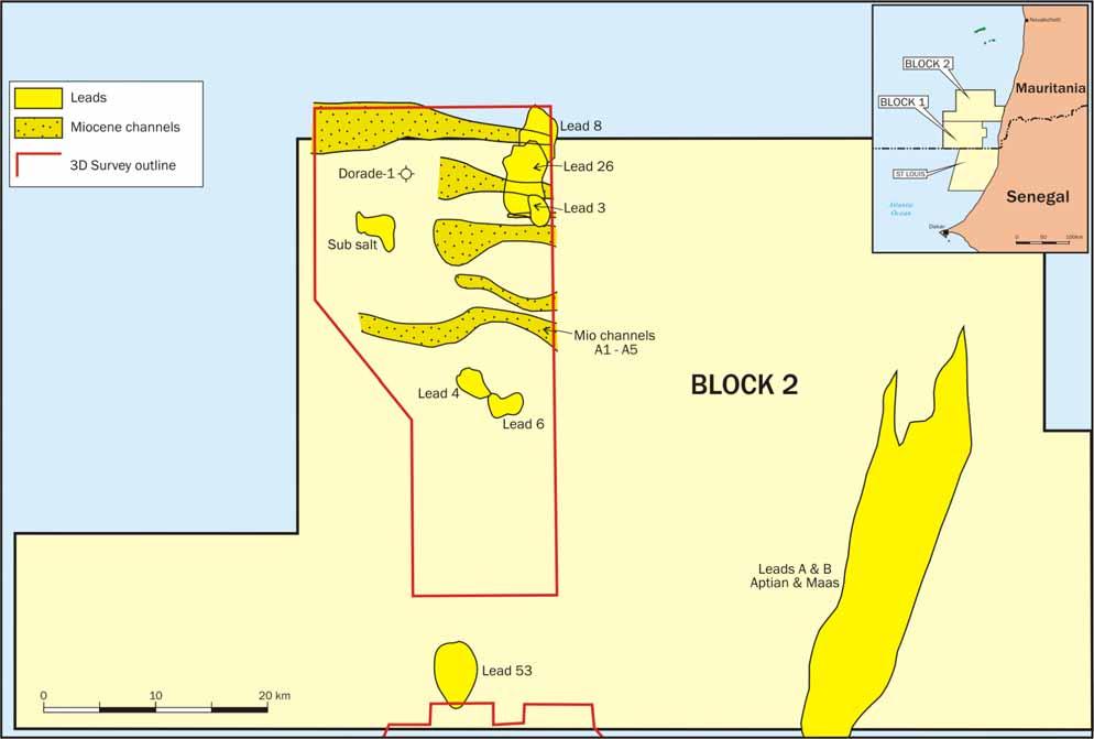 Mauritania Block 2 Leads Current Activity Integrate the Faucon well results Evaluate the source maturity of Albo-Aptian Assess the