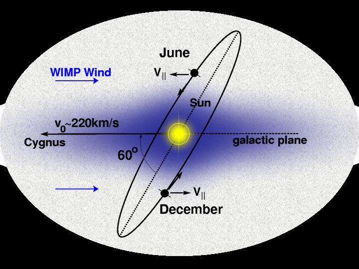 Yearly oscillations in collision rate Supposedly the dark matter is relatively at rest in the galaxy, and the earth is moving