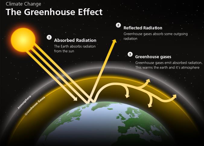 The Greenhouse Effect: Creating a Hospitable Earth Atmospheric gases insulate the Earth in a phenomenon known as the greenhouse effect The sun warms the surface of