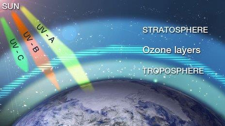 Unique Layer: The Ozone Layer The ozone layer is located in the stratosphere Ozone (O 3 )