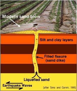 Sand Dikes & Marine Turbidites Activity Turbidites in a Jar Paleoseismology is the study of the timing, location, and magnitude of prehistoric earthquakes preserved in the geologic record.