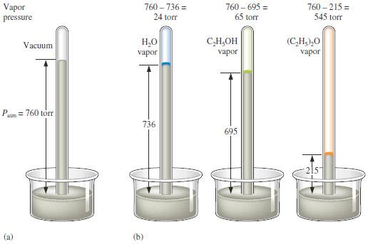 The height it rises is a measure of the pressure and depends on the density of the fluid (mercury) and gravity. In the next example, a small amount of water is placed in the tube.