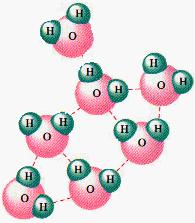 - + + Each water molecule can make up to Three -bonds London Dispersion Forces Non - polar molecules also exert forces on each other. Otherwise, no solids or liquids.
