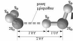 Hydrogen Bonding Hydrogen is unusual: its only electron is its valence electron -if bound to a very electronegative element, the unshielded hydrogen nucleus has a significant positive charge -the