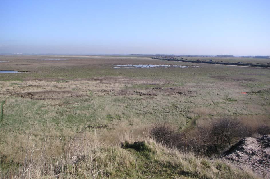 Coastal Defence Report on the Salt Marshes at Marshside, Southport.