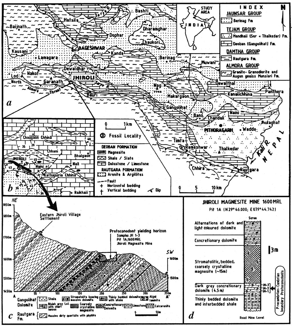 Figure 1. a, Part of the geological map of northeastern Inner Kumaun Lesser Himalaya (after Valdiya 7 ). b, Geological detail around Jhiroli Village 40, Bageshwar District, Uttaranchal.
