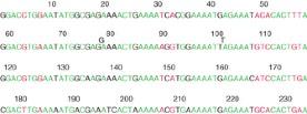 The repeating unit of mouse satellite DNA contains two half-repeats, which are aligned to show the identities