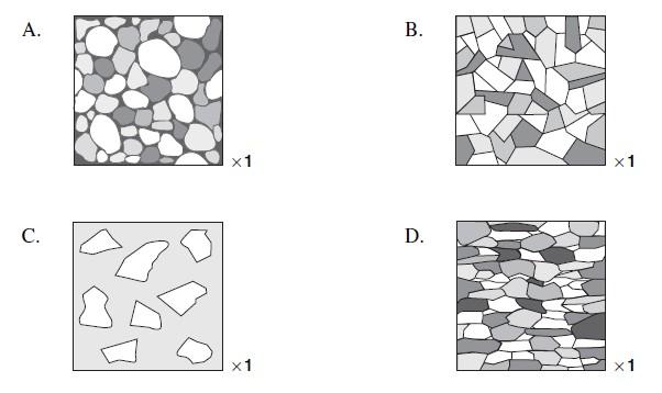 Earth Systems 3209: Mid Year PRACTICE Exam 1 Part One Multiple Choice 70% Choose the best answer 1. Which of the following textures represents a very slowly cooled igneous rock? A 2.