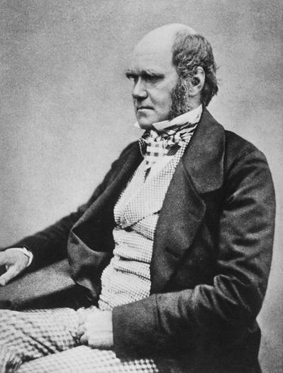 Charles Darwin 1809-1882 English naturalist and geologist On the