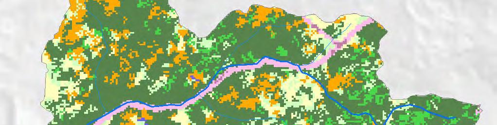 Watershed Land Cover Map 5 Land cover is an important factor in understanding how a watershed functions and has been analyzed using satellite imagery with some ground truthing.