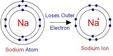 The Ion Note that the LOSS of an negatively (-)