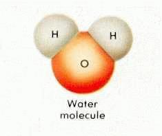 Warmup- Properties of Water Below is a water molecule. Use the picture of the water molecule to help you answer the warm-up questions. 1.