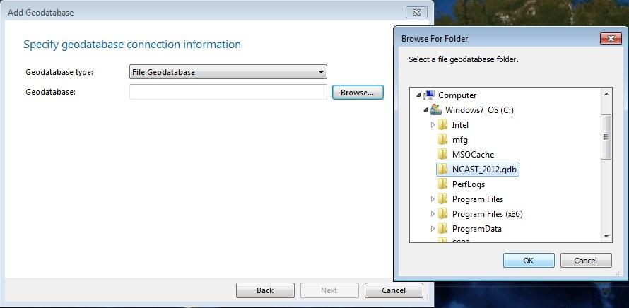 Select File Geodatabase from the Geodatabase Type: menu. Then click Browse to find the downloaded files.